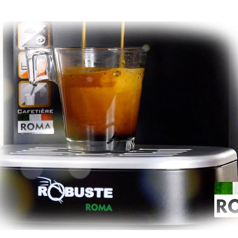 Machine à café a Bras inox 15 bar 1100W 1.2L Café Poudre Robuste Roma